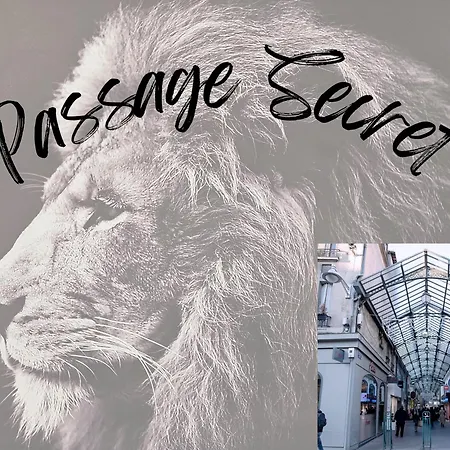 Passage Secret - Ideal Pro, Couples, Familles & Amis - Le Calme En Hypercentre - Wifi Debit - Netflix - Machine A Laver - Gare, Cathedrale, Commerces, Restaurants & Transports En Commun A Moins De 10 Minutes A Pied * Reims